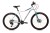 sowelo-275-db-cues1.jpg