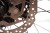 warlock-m4105.jpg