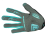palm.png