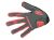 palm.png