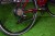 maxbike civita czerwony_03.jpg