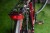 maxbike civita czerwony_05.jpg
