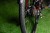 maxbike civita czerwony_06.jpg