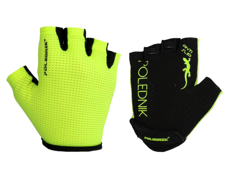 Slice-fluo-3.png