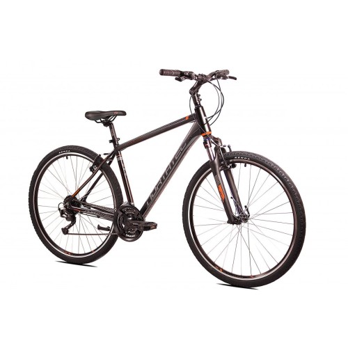 3695.jpg