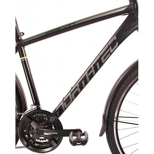 bergon-vb-tr.jpg