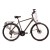 bergon-db-xt (7) graf pom.jpg
