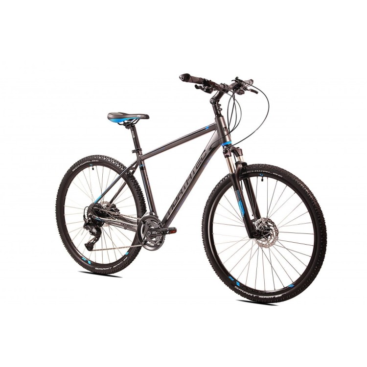 caledon-cues-2x10 nieb.jpg