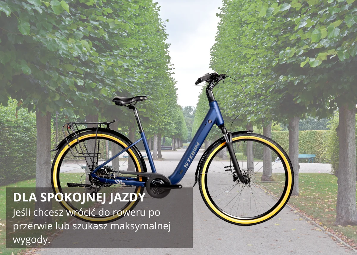 Rower do spokojnej jazdy