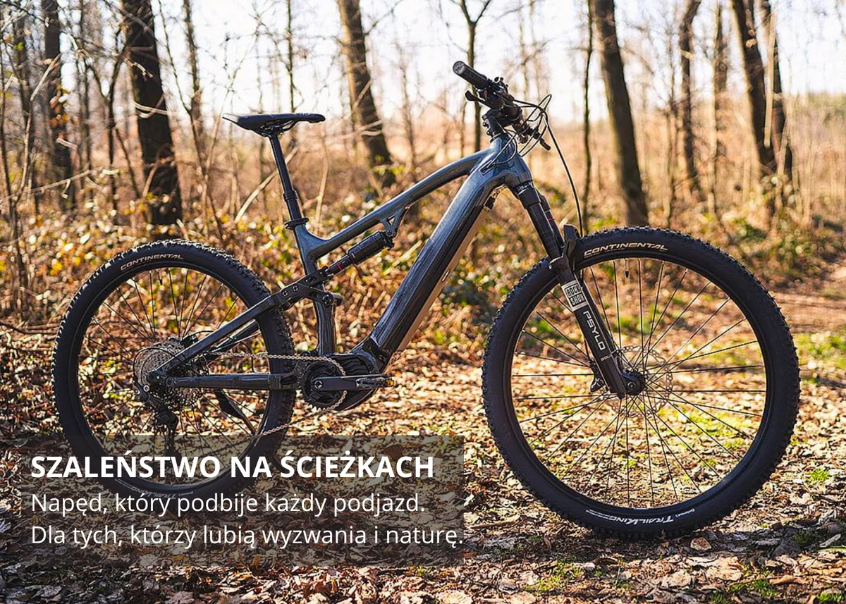 Rower elektryczny